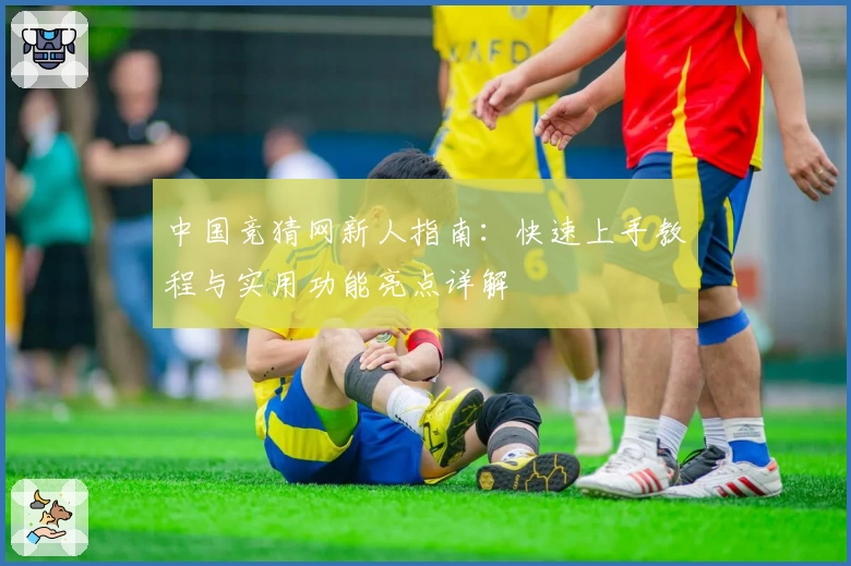中国竞猜网新人指南：快速上手教程与实用功能亮点详解