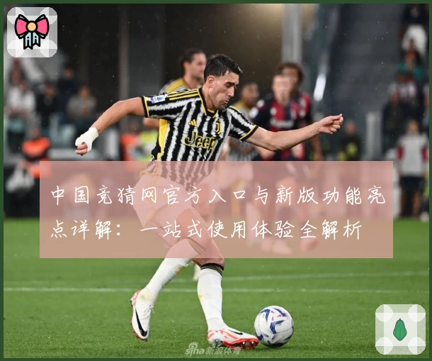 中国竞猜网官方入口与新版功能亮点详解：一站式使用体验全解析