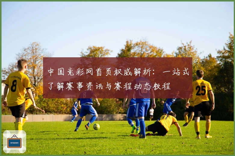 中国竞彩网首页权威解析：一站式了解赛事资讯与赛程动态教程